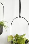 Thumbnail View 5: Triflora Large Hanging Planter