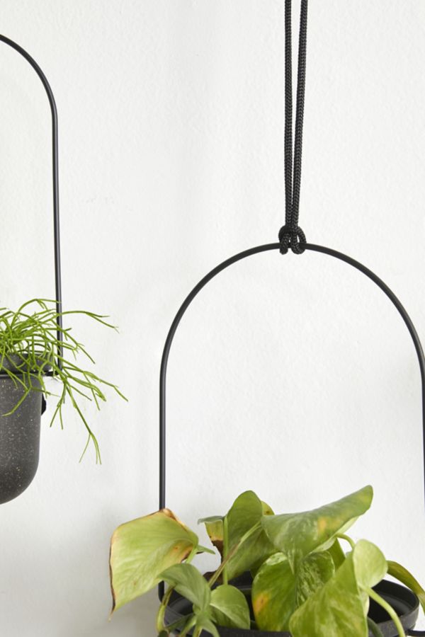 Slide View: 5: Triflora Large Hanging Planter