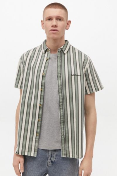 duck dress shirt