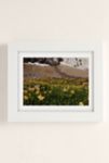 Thumbnail View 1: Kenna Allison Glacier Wild Flowers Art Print