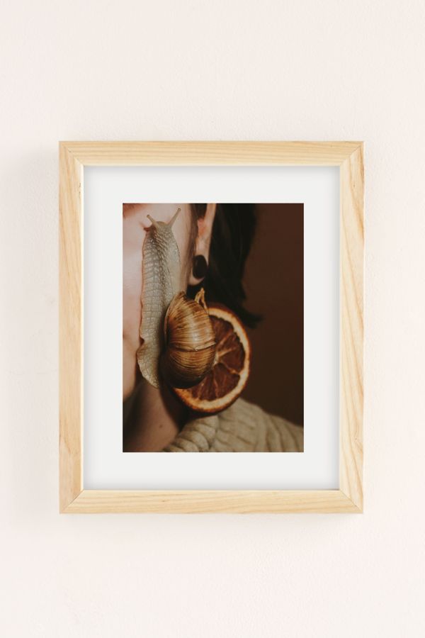 Slide View: 2: Haille Kern Snail Art Print