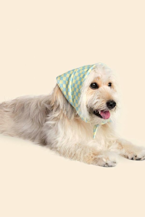 Slide View: 1: Little Beast Pet Bandana