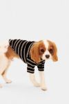 Thumbnail View 1: Little Beast Striped Pet Sweatshirt