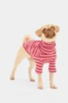 Thumbnail View 1: Little Beast Striped Pet Sweatshirt