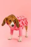 Thumbnail View 3: Little Beast The Love Pet Sweater