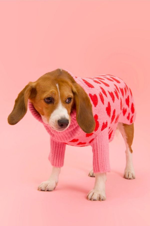 Slide View: 3: Little Beast The Love Pet Sweater