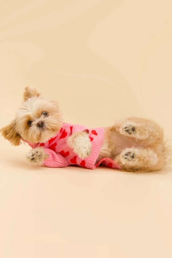 Slide View: 5: Little Beast The Love Pet Sweater