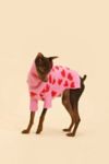 Thumbnail View 1: Little Beast The Love Pet Sweater