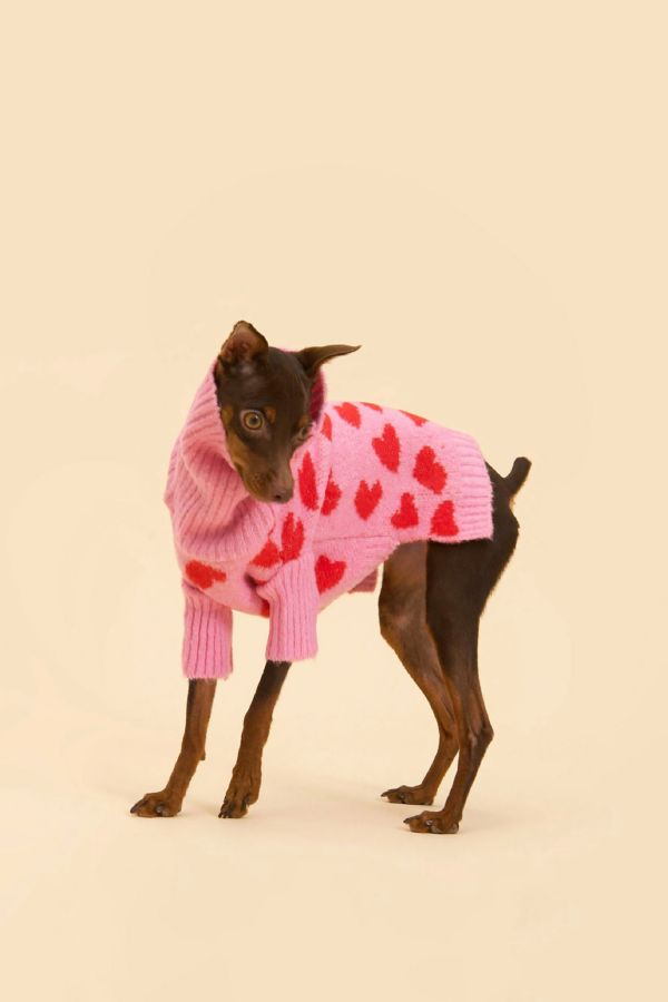 Slide View: 1: Little Beast The Love Pet Sweater