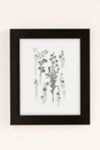 Thumbnail View 2: Bailey Drinkwater Chamomile Flower Study Art Print