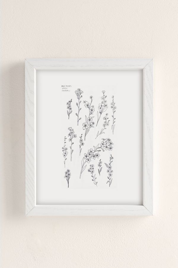 Slide View: 2: Bailey Drinkwater Forget Me Not Flower Study Art Print