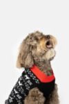 Thumbnail View 1: Silver Paw Holiday Reindeer Dog Sweater