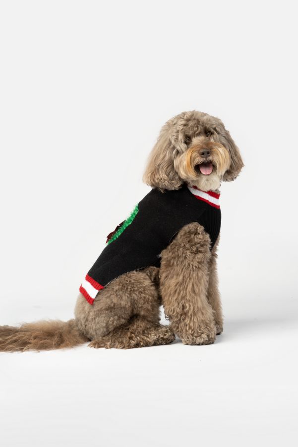 Slide View: 4: Silver Paw Wreath Holiday Dog Sweater