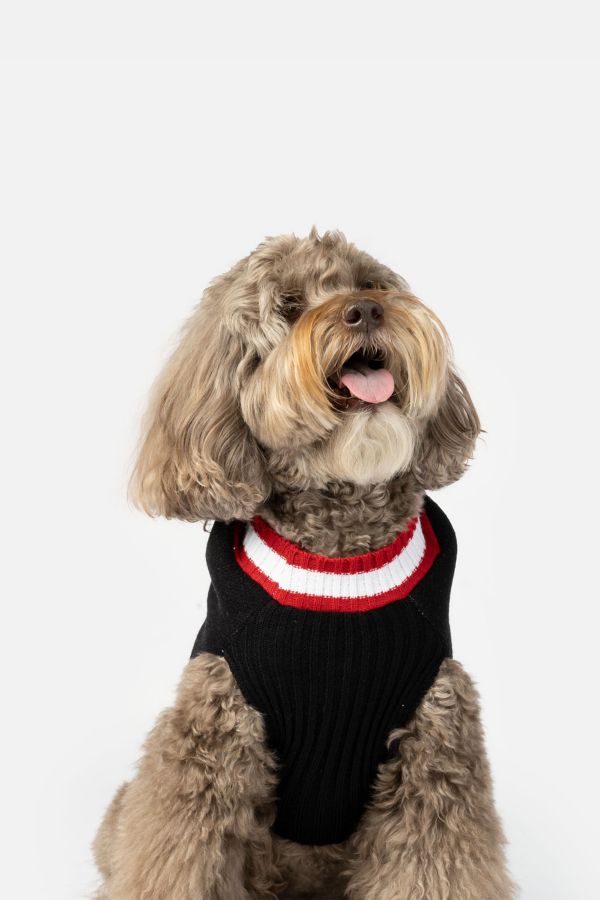 Slide View: 5: Silver Paw Wreath Holiday Dog Sweater