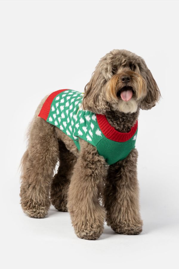 Slide View: 4: Silver Paw Holiday Gift Dog Sweater