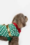 Thumbnail View 5: Silver Paw Holiday Gift Dog Sweater