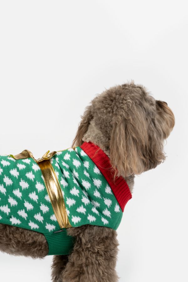 Slide View: 5: Silver Paw Holiday Gift Dog Sweater