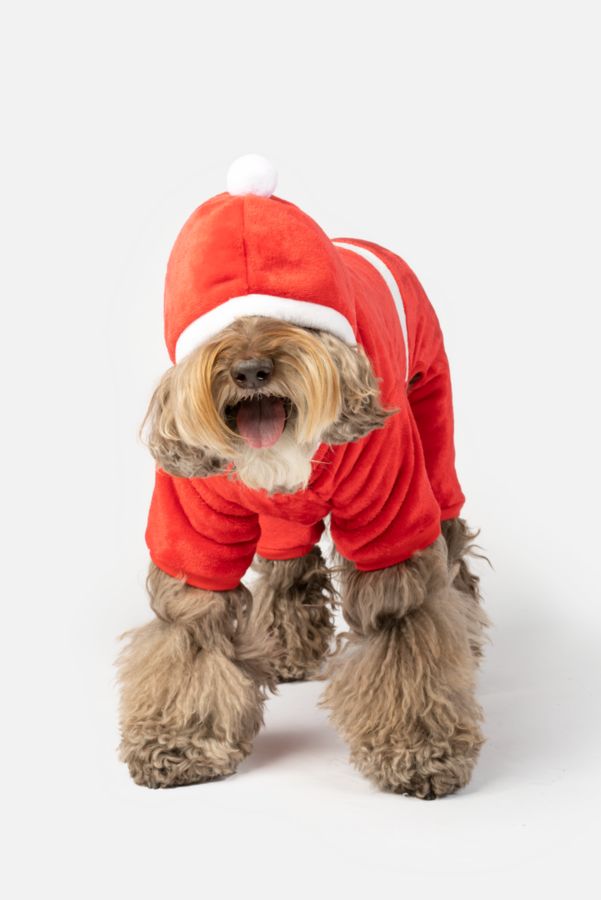 Slide View: 4: Silver Paw Claus Holiday Dog PJs