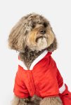 Thumbnail View 5: Silver Paw Claus Holiday Dog PJs