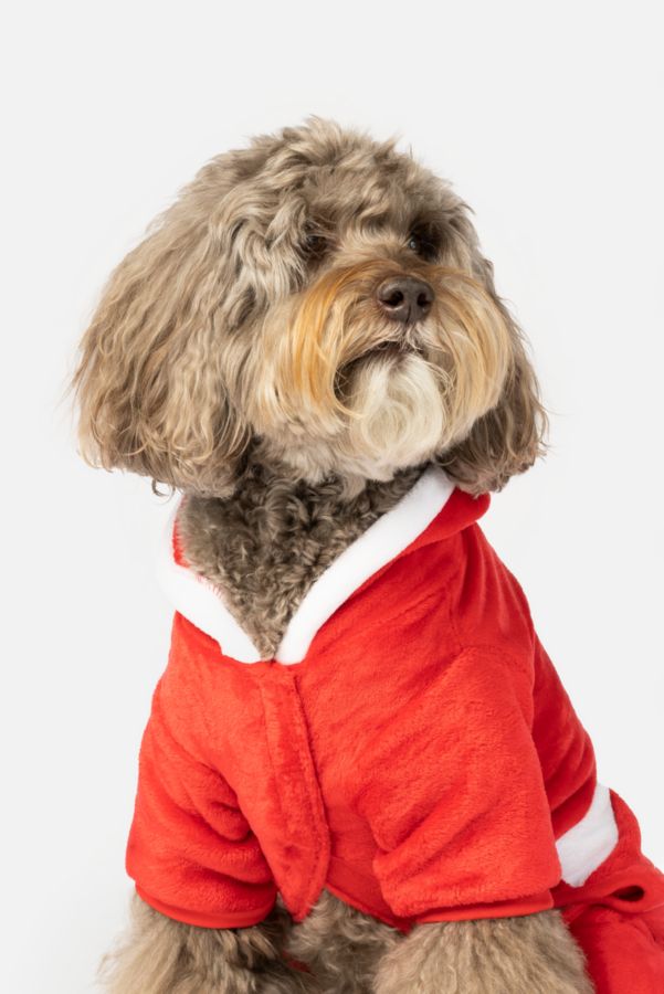 Slide View: 5: Silver Paw Claus Holiday Dog PJs