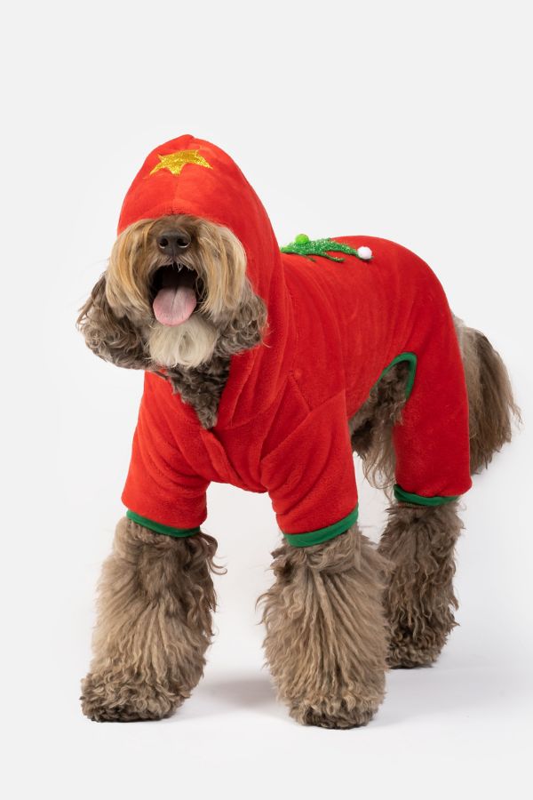 Slide View: 4: Silver Paw Holiday Tree Dog PJs