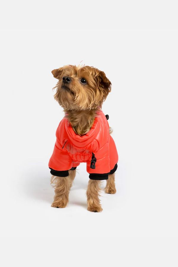 Slide View: 3: Silver Paw Whistler Full Body Dog Snowsuit