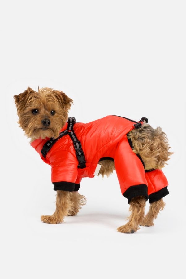 Slide View: 1: Silver Paw Whistler Full Body Dog Snowsuit