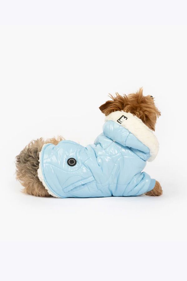 Slide View: 3: Silver Paw Dog Hooded Puffer Jacket