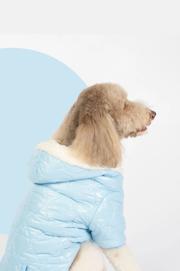 Slide View: 4: Silver Paw Dog Hooded Puffer Jacket