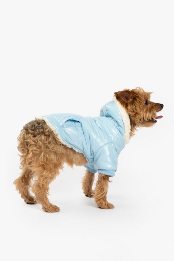 Slide View: 1: Silver Paw Dog Hooded Puffer Jacket