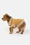 Thumbnail View 2: Silver Paw Millie Suede Dog Jacket