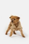 Thumbnail View 4: Silver Paw Millie Suede Dog Jacket