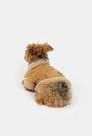 Thumbnail View 5: Silver Paw Millie Suede Dog Jacket