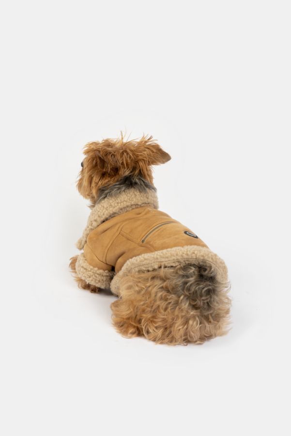 Slide View: 5: Silver Paw Millie Suede Dog Jacket