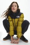 Thumbnail View 1: The North Face 1996 Retro Nuptse Jacket