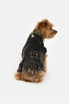 Thumbnail View 2: Silver Paw Spencer Denim Dog Jacket