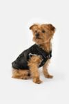 Thumbnail View 1: Silver Paw Spencer Denim Dog Jacket