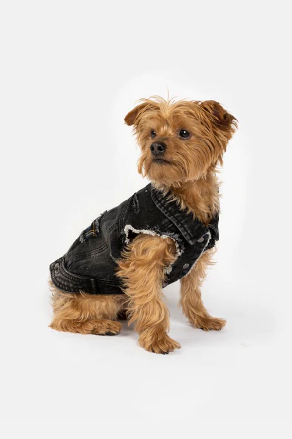 Slide View: 1: Silver Paw Spencer Denim Dog Jacket