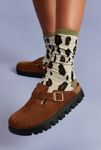 Thumbnail View 1: Birkenstock Papillio Boston Chunky Suede Clog