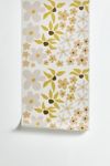 Thumbnail View 2: Urban Wild Studio Black Coffee Morning Tan Removable Wallpaper