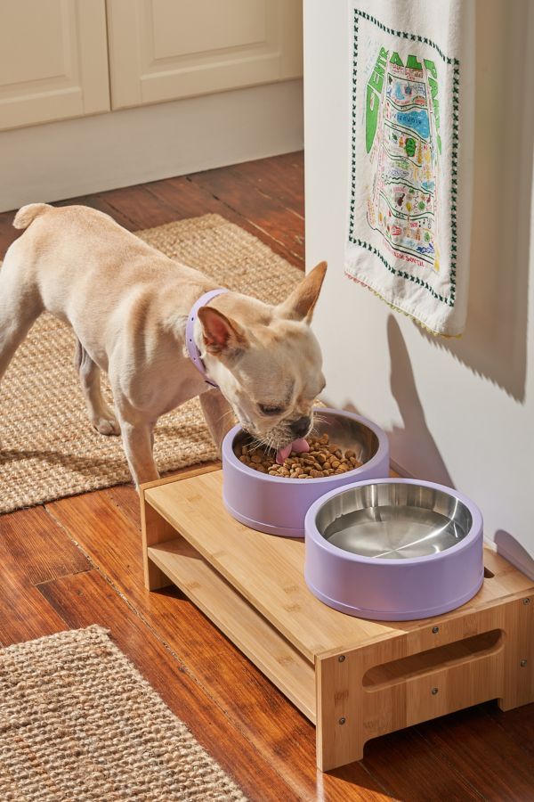 Slide View: 1: Wild One Stainless Steel Dog Bowl