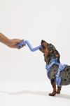 Thumbnail View 1: Wild One Bolt Bite Dog Toy