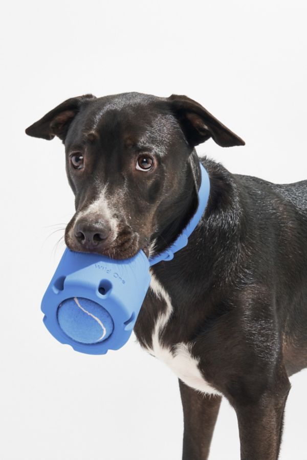 Slide View: 1: Wild One Tennis Tumble Interactive Dog Toy