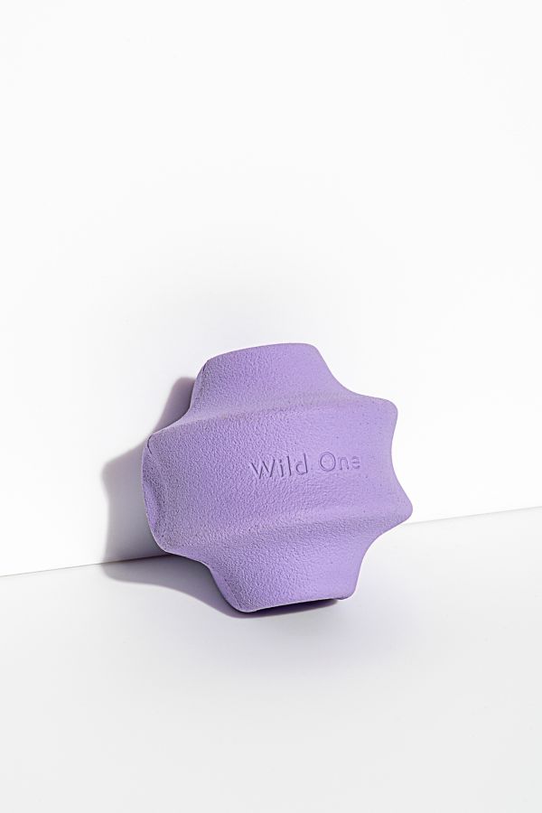 Slide View: 2: Wild One Twist Toss Dog Toy