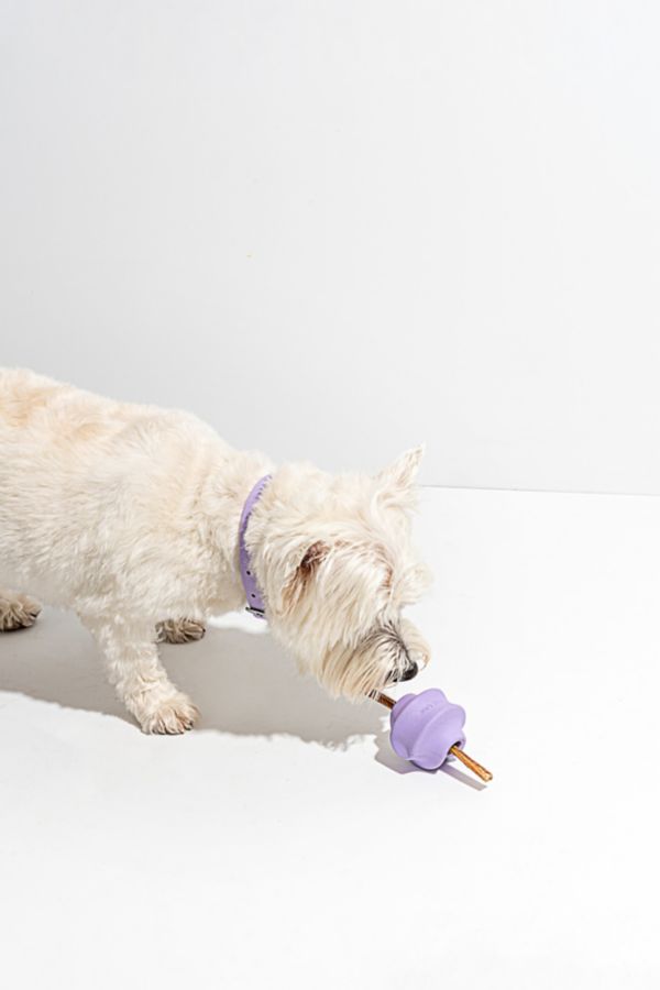 Slide View: 3: Wild One Twist Toss Dog Toy