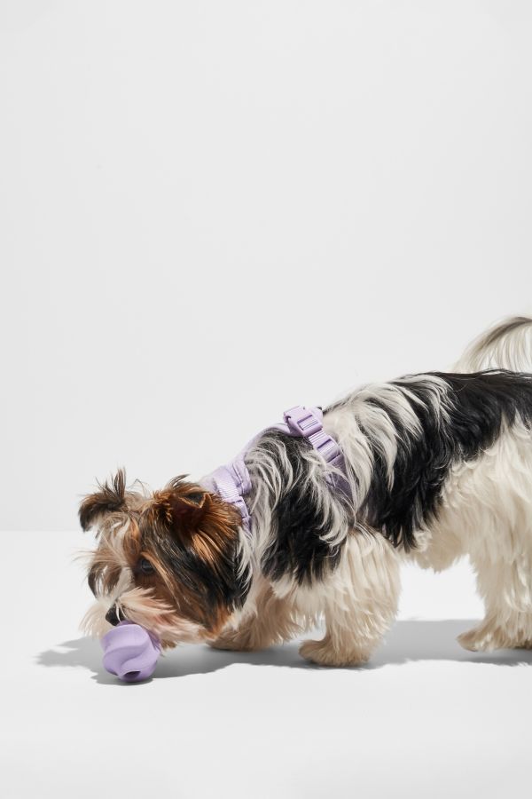 Slide View: 1: Wild One Twist Toss Dog Toy