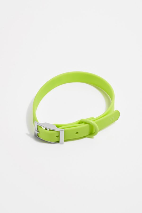 Slide View: 2: Wild One Dog Collar