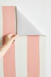 Thumbnail View 3: Avenie Fruit Salad Collection Stripes Removable Wallpaper