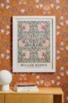 Thumbnail View 1: PSTR Studio William Morris Pimpernel Frameless Art Print