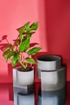 Thumbnail View 1: Tortuga Forma Concrete Terrazzo Planter - Set of 2